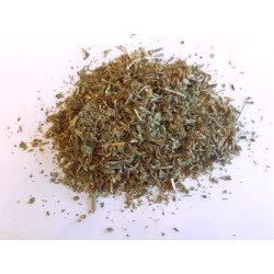 Marrube noir (ballote)...