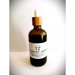 Pin sylvestre - Aiguilles EHA