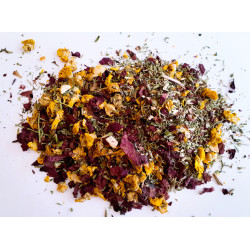 Asthme N°1 - Adagio...