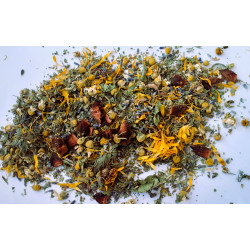 La nuit de Marie-Antoinette