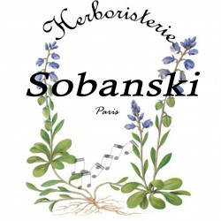 Tisane rafraîchissante