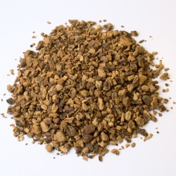 Gentiane jaune racine coupé