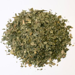 Ginkgo feuille coupé