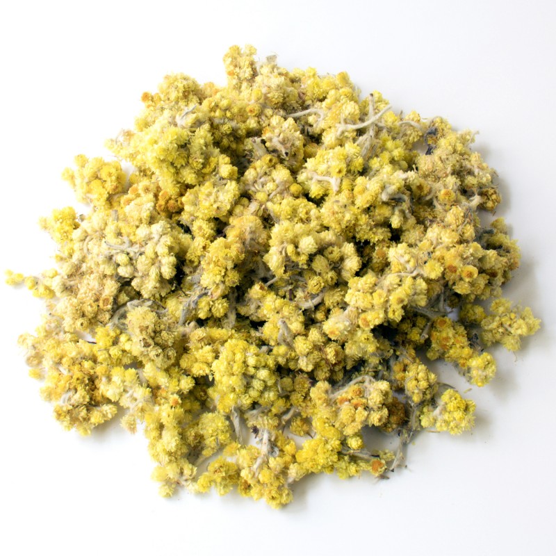 Immortelle fleur jaune