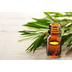 Verveine citronnée HE