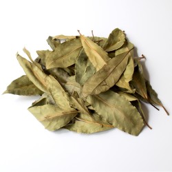 Laurier sauce feuille