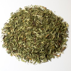 Lotier corniculé partie...