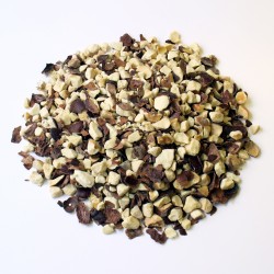 Marronnier d'inde graine