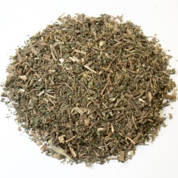 Pariétaire partie aérienne