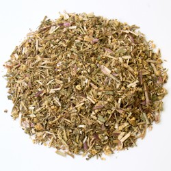 Partenelle (grande...