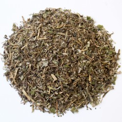 Piloselle partie aérienne