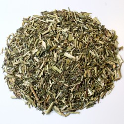 Reine des près sommité fleurie