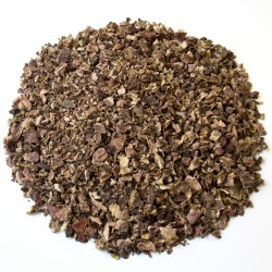 Rhodiola rosea racine