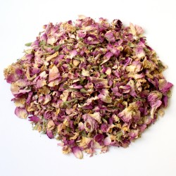 Rose de Damas Boutons