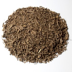 Valériane d'Europe racine