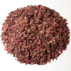 Vigne rouge feuille extra