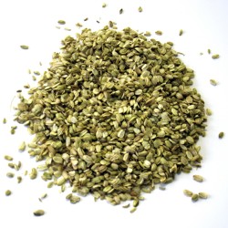 Angélique officinale fruit