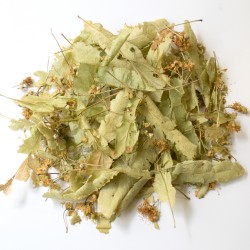 Tilleul super bractée de...