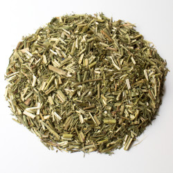 Galéga partie aérienne