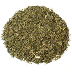 Ortie piquante feuille