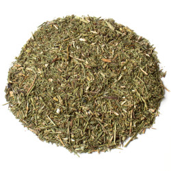 Prêle partie aérienne