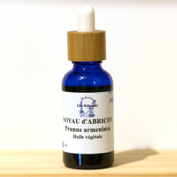 Noyau d'Abricot