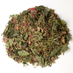 Fibrome N°1 - Decrescendo...