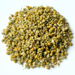 Camomille Matricaire...