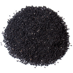Nigelle graine