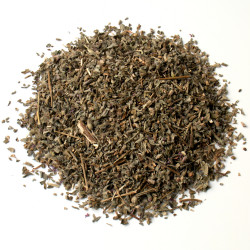 Salicaire partie aérienne