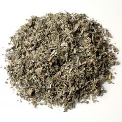 Sauge officinale feuille