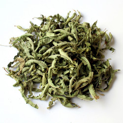 Verveine odorante feuille...