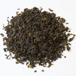 Varech vésiculeux (fucus)