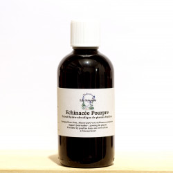 Echinacée pourpre EHA