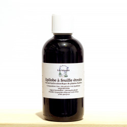 Epilobe à feuille etroite EHA