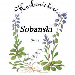 Mélisse officinale EHA