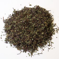 Capillaire de Montpellier