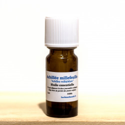 Achillée millefeuille
