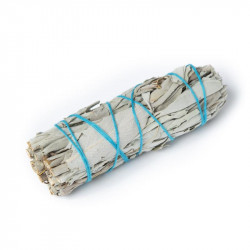 Sauge blanche à brûler