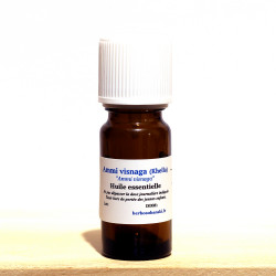 Ammi visnaga - Khella HE