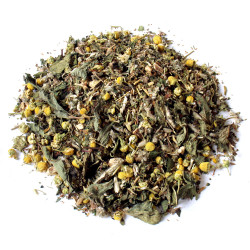 Foie Insuffisance N°2 -...