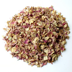 Rose de damas pétale