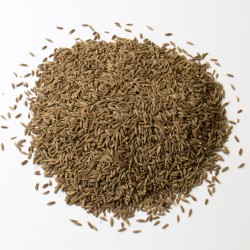 Cumin fruit