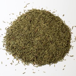 Cypres cône ou noix