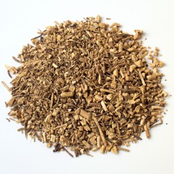 Fragon (petit houx) racine...