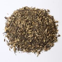 Echinacea poupre racine