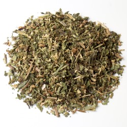 Ortie blanche (lamier...