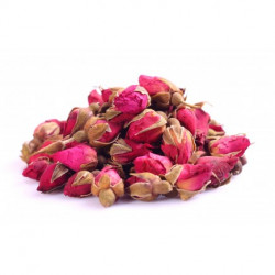 Rose de Damas Boutons